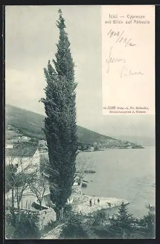 AK Icici, Cypresse mit Blick auf Abbazia
