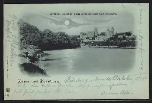 Mondschein-AK Bernburg, Herzogliches Schloss vom Kesselbusch gesehen