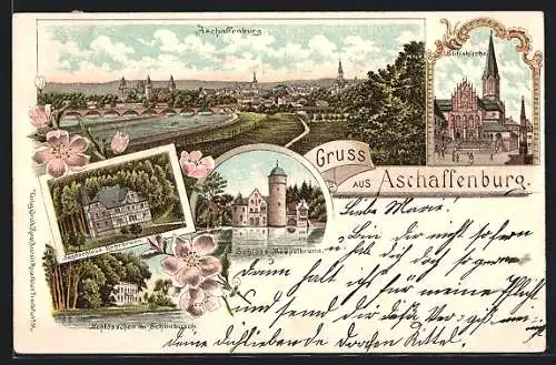 Lithographie Aschaffenburg, Stiftskirche, Jagdschloss Rohrbrunn, Schloss Mespelbrunn, Schlösschen im Schönbusch