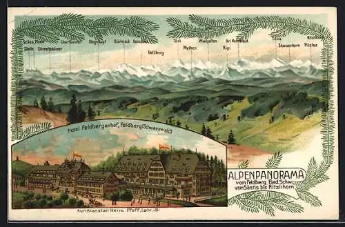 Lithographie Feldberg / Schwarzwald, Hotel Feldbergerhof, Alpenpanorama