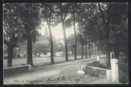 AK Riddagshausen, Allee vor dem Ort