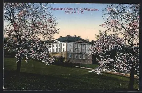 AK Wiesbaden, Hotel Forsthaus Platte