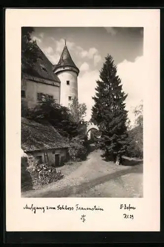 Foto-AK Adalbert Defner: Frauenstein, Aufgang zum Schloss