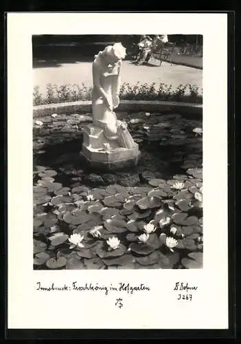 Foto-AK Adalbert Defner: Innsbruck, Froschkönig im Hofgarten