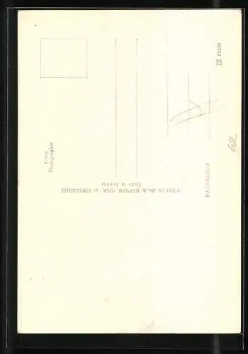 Foto-AK Adalbert Defner: Wien, Stefansdom, Meister Pilgram v. Orgelfuss