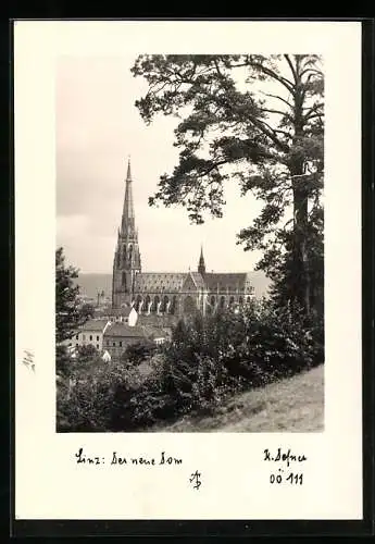 Foto-AK Adalbert Defner: Linz, Der neue Dom