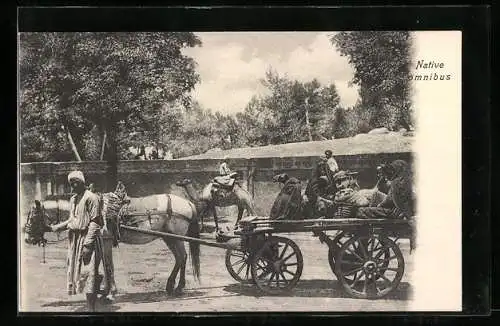 AK Native omnibus, Arabischer Mann mit Kutsche als Transportmittel