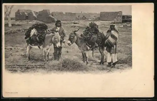 AK Zandia Indians with Burros