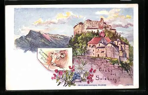 Künstler-AK Salzburg, Blick zur Festung Hohensalzburg hinauf, Der gewaschene Salzburger Stier