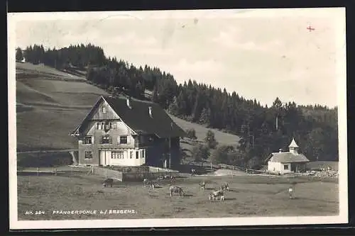 AK Bregenz, Gasthaus Pfänderdohle und Nachbargebäude