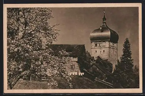 AK Alt-Bregenz, Ortspartie mit Turm