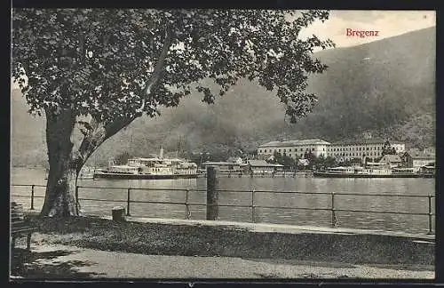 AK Bregenz, Uferpartie mit Dampfer