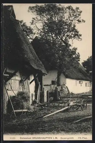 AK Brunshaupten i. M., Auf dem Bauerngehöft