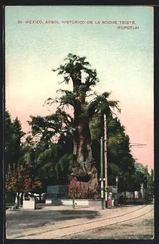 AK Mexico, Arbol Historico de la Noche Triste
