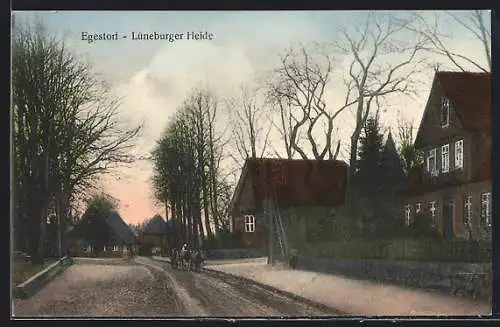 AK Egestorf /Lüneburger Heide, Strassenpartie mit Ochsenwagen