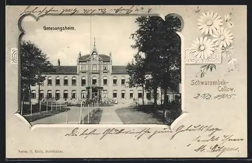 AK Schwarzenbek-Collow, Genesungsheim, Gänseblumen, Passepartout