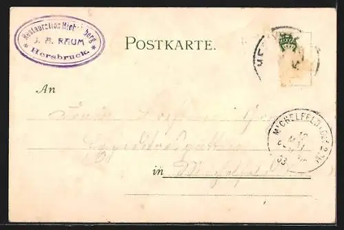 Lithographie Michelsberg / Hersbruck, Teilansicht, Ortspartie