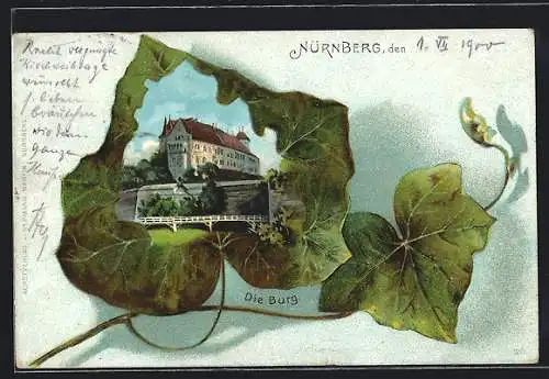 Lithographie Nürnberg, Die Burg in einem Blatt dargestellt