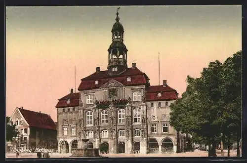 AK Lüneburg, Blick auf das Rathaus