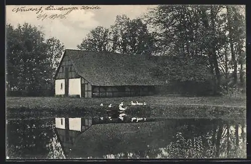 AK Nindorf /Lüneburger Heide, Dorfidyll bei Lüneburg