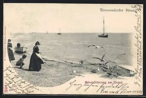 AK Timmendorfer Strand, Mövenfütterung am Strand
