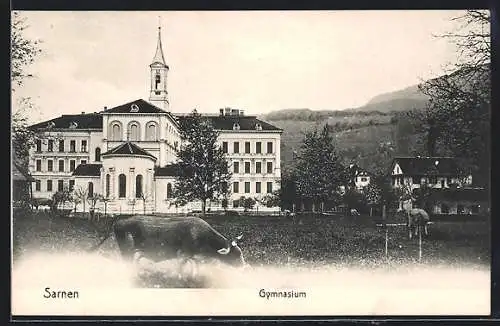 AK Sarnen, Gymnasium mit weidenden Kühen