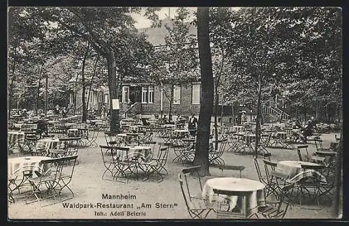 AK Mannheim, Waldpark-Restaurant am Stern