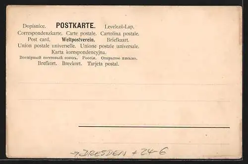 AK Dresden-Neustadt, Ach die schneidige Fahrt in der trockenen Elbe!, Ausgustusbrücke bei Niederigwasserstand 1904