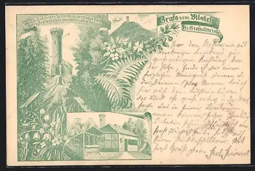 Vorläufer-Lithographie Grossalmerode, 1895, Gasthof und Aussichtsturm auf dem Bilstein