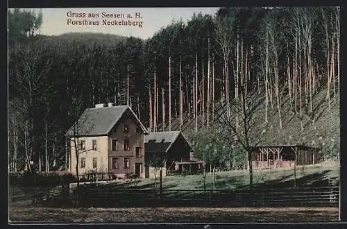 AK Seesen a. H., Forsthaus Neckelnberg