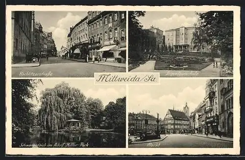 AK Mittweida, Rochlitzerstrasse, Ingenieurschule, Markt, Schwanenteich im Park