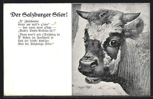 AK Salzburg, Der Salzburger Stier mit Gedicht