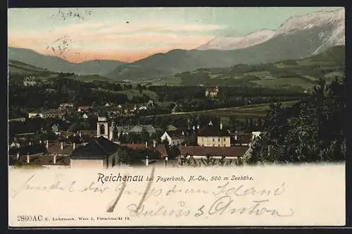 AK Reichenau, Ortsansicht mit Kirche