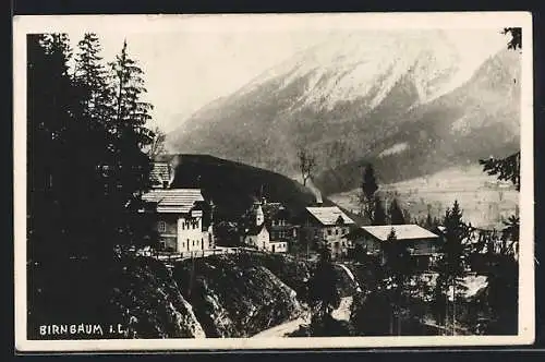 AK Birnbaum i. L., Ortsansicht aus der Vogelschau