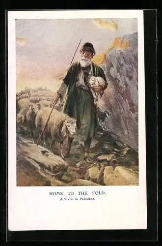 AK Ein Palästinensicher Hirte bringt die Schafe zurück nach Hause