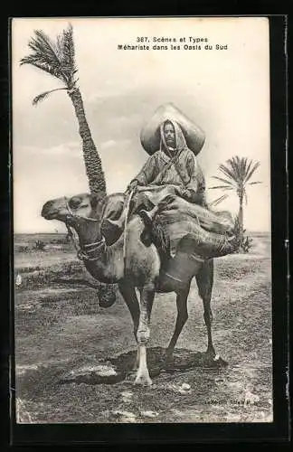 AK Méhariste dans les Oasis du Sud, Arabischer Wanderhändler auf einem Kamel