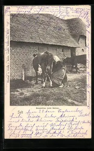 AK Sylt, Bauernfrau in Tracht beim Melken