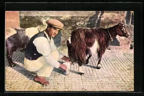 AK Malta, Maltese Goat Man