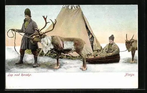 AK Norge, Lap med Rensdyr, norwegischer Rentierschlitten
