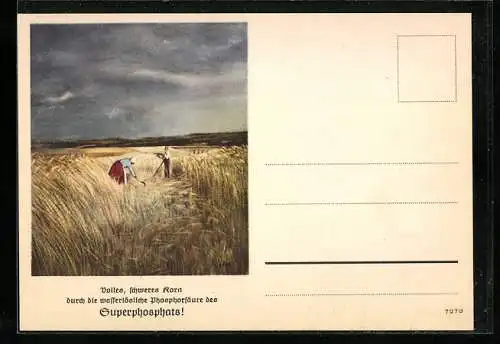 AK Bauern ernten volles schweres Korn durch Dünger Superphosphat, Reklame