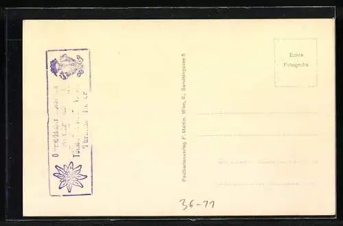 AK Türnitz, Gipfelkreuz auf dem Türnitzer Höger