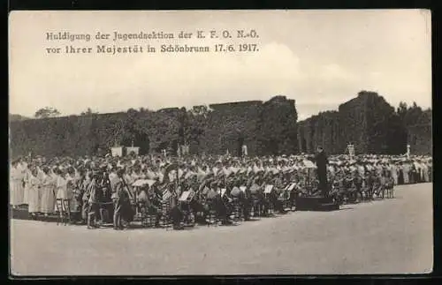 AK Schönbrunn, Huldigung der Jugendsektion der K.F.O.N.Ö. vor ihrer Majestät 17.06.1917