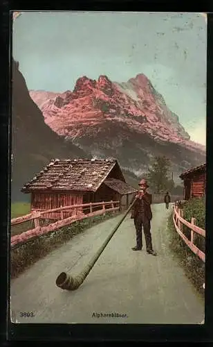 AK Schweizer Alphornbläser
