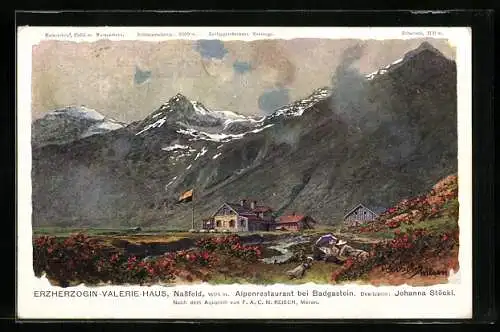 Künstler-AK F.A.C.M. Reisch: Nassfeld, Erzherzogin-Valerie-Haus vor den Alpen