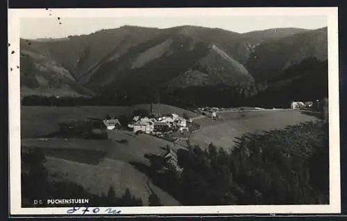 AK Puchenstuben, Ortsansicht aus der Vogelschau