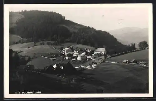 AK Puchenstuben, Ortsansicht aus der Vogelschau