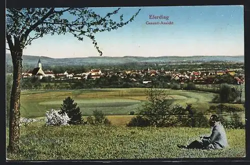 AK Eferding, Gesamt-Ansicht vom Feld aus