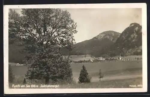 AK Fuschl am See /Salzkammergut, Blick übers Ufer