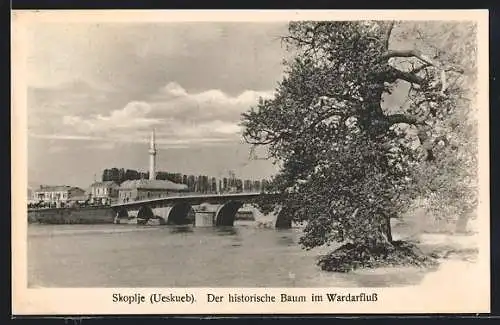 AK Skoplje / Ueskueb, der historische Baum im Wardarfluss