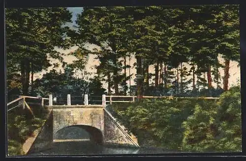 AK Ahrensburg / Holstein, Blick auf die Bauernbrücke